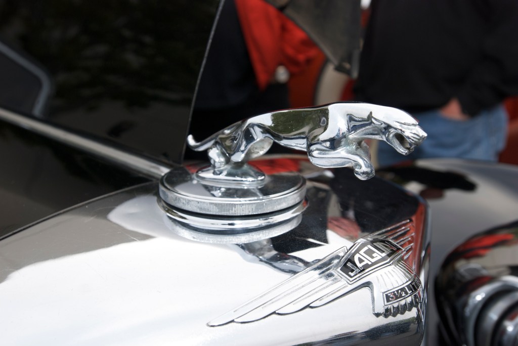 Black 3 1/2 liter Jaguar sedan_radiator cap emblem_Cars&Coffee/Irvine_1/7/12