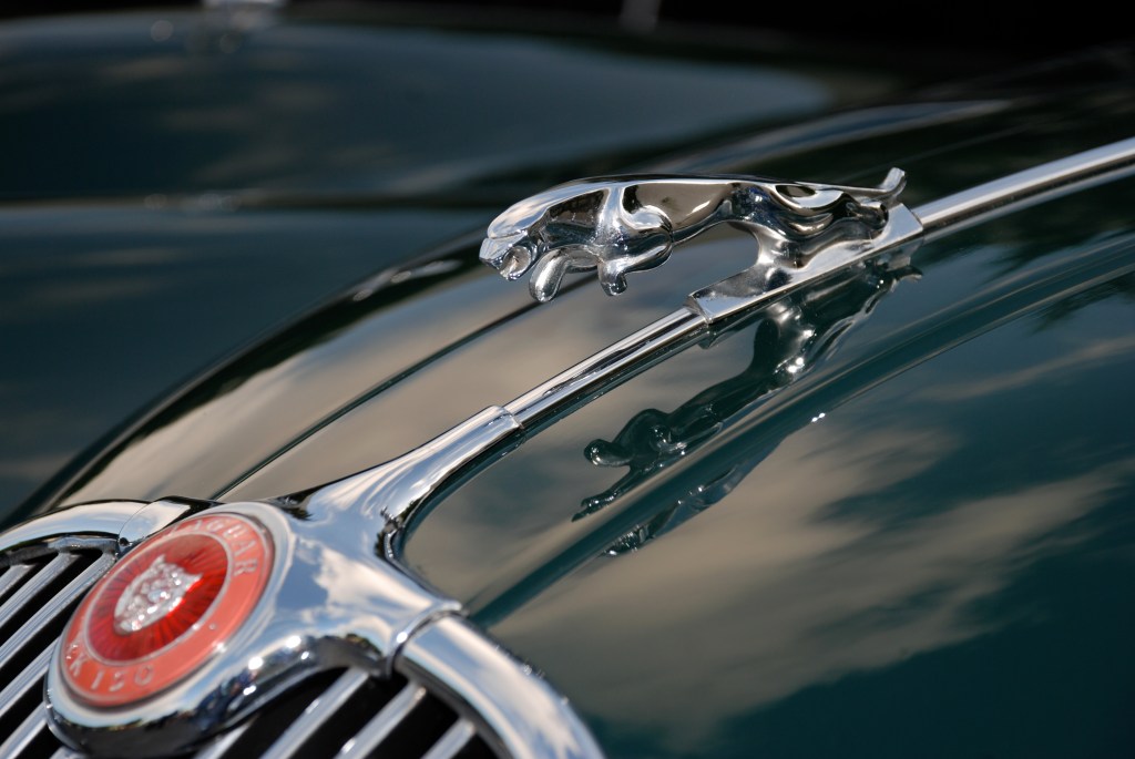 Green Jaguar XK 150_hood emblem and grill badge_Cars&Coffee_5/28/12 Green Jaguar XK 150_hood emblem and grill badge_Cars&Coffee_5/28/12