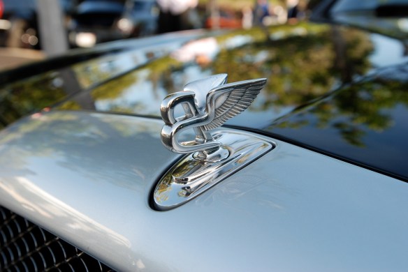 Bentley hood emblem_close up_Cars&Coffee/Irvine_April 20, 2013