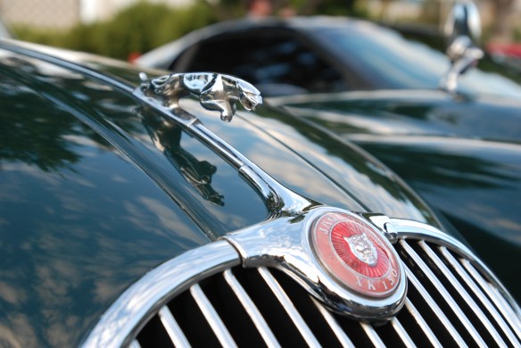 British Racing Green Jaguar XK-150_ hood emblem, partial grill & reflections_cars&coffee/irvine_November 30, 2013