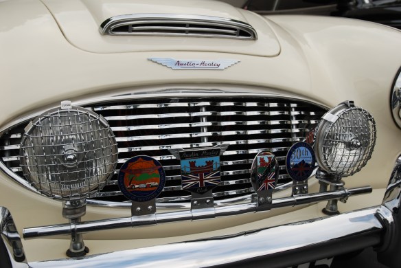 Cream colored Austin Healey 100_front grill shot_cars&coffee/irvine_May 10, 2014