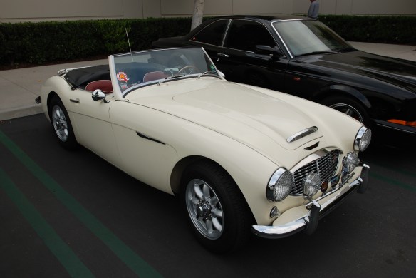 Cream colored Austin Healey 100_3/4 front view_cars&coffee/irvine_May 10, 2014
