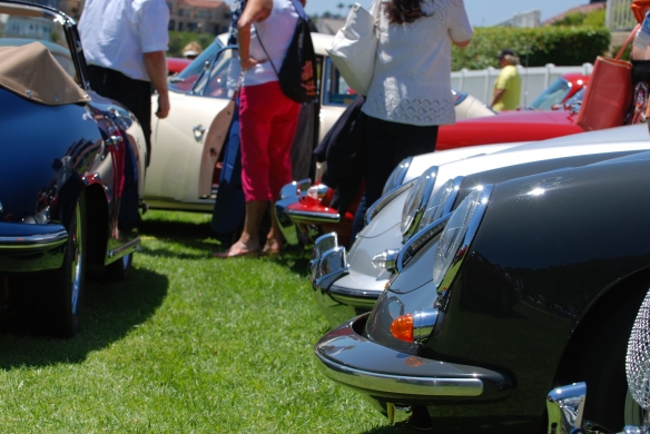 Class winners_ 3/4 side view of front ends_2014 Dana Point concours_July 20, 2014